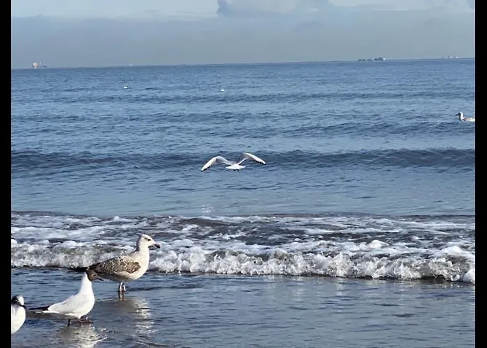 Oliwia Ii * Сопот